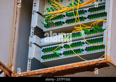 Open box with patch-panels with many fiber optic cords Stock Photo