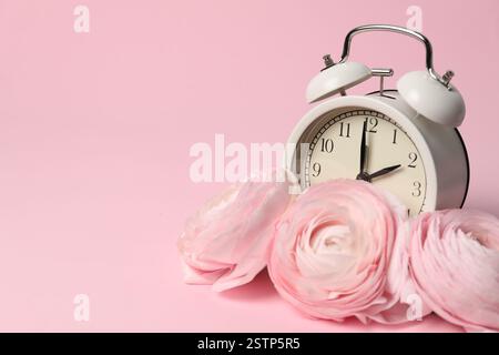 Spring time. Alarm clock and beautiful ranunculus flowers on pink background, space for text Stock Photo