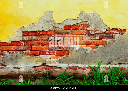 Defected wall with some grass on bottom Stock Photo