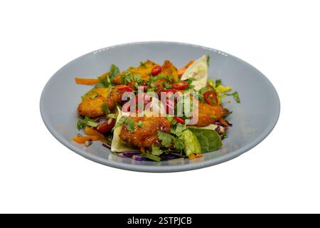 Asian-style crispy chicken salad with gyoza dumplings. Isolated on white background with clipping path. Stock Photo