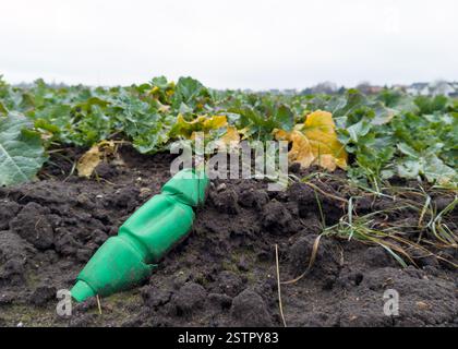 Crushed Green Plastic Bottle Polluting Agricultural Soil Stock Photo