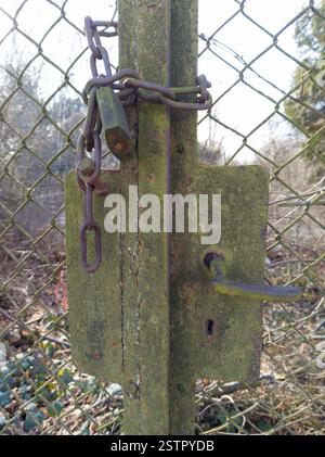 Old Rusty Padlock and Chain on Mossy Metal Gate Stock Photo