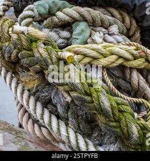Ropes knotted together with different colours and textures.  Concepts - integrated society, strength, security, safety, confusion, tied up, muddle. Stock Photo