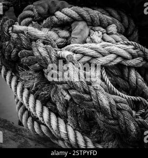 Ropes knotted together with different colours & textures.  Concepts - integrated society, strength, security, safety, confusion, tied up, muddle. B&W Stock Photo