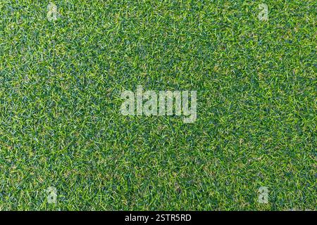 Artificial Green Grass Stock Photo