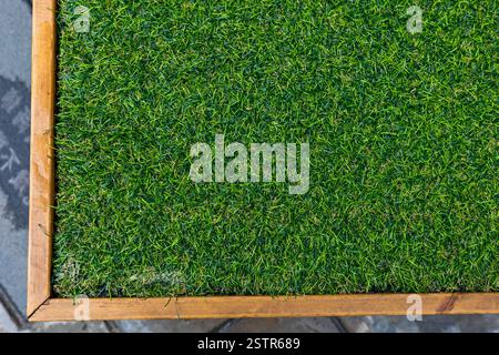 Artificial Grass Frame Stock Photo