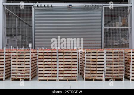 Tomato Crates Storage Stock Photo