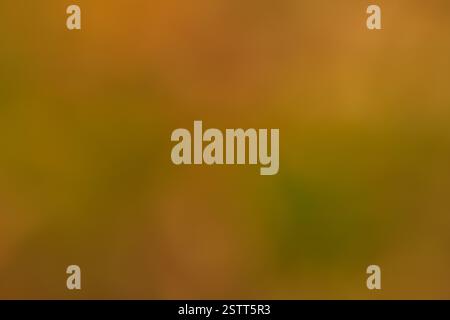 Abstract autumnal background with blurred earthy tones of orange brown and green Stock Photo