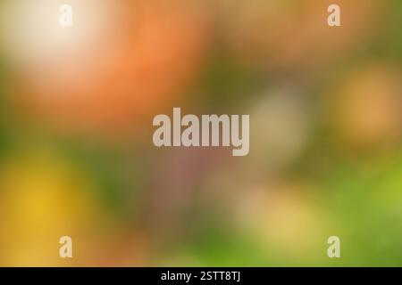 Abstract blurred background of warm and cool tones Stock Photo