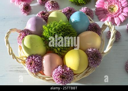 Easter egg basket filled with pastel colored painted eggs and flowers on a white washed wooden surface with spring petal, morning sunlight falling on Stock Photo