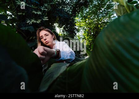 Young agricultural engineer examines leaves in greenhouse Stock Photo