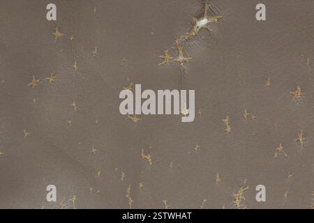 Worn ripped torn brown leather sofa couch textured cover background backdrop. Stock Photo