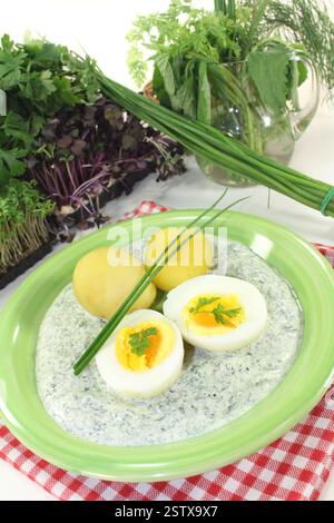 Frankfurt green sauce Stock Photo