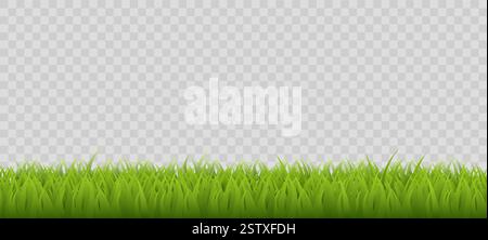Green grass on transparent background. Realistic isolated object, spring summer lawn, meadow in park. Fresh botanical element. Horizontal backdrop Stock Vector