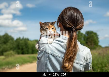 Rear view of woman walking cute tabby cat in collar, carrys on shoulder in sunny day outdoors Stock Photo