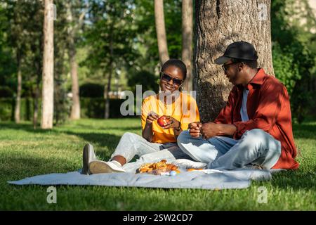 Smiling romantic African American couple guy and girl relaxing on blanket during picnic in park Stock Photo