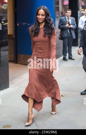 zoe saldana brown dress Zoe Saldaña 2025 Vanity Fair Party Two-Tone High-Low Prom Dress main image 0