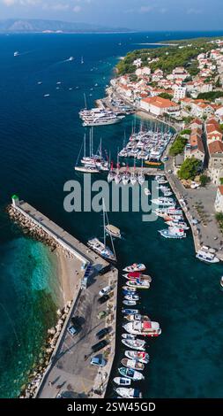 Aerial view of the vibrant coastline where lush green forests meet the ...
