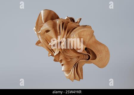 Abstract Wooden Wavy Shape on a white background. 3d Rendering Stock Photo