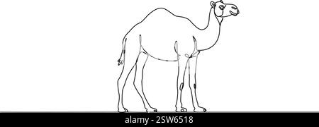 continuous single line drawing of a camel, line art vector illustration Stock Vector
