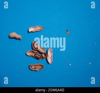 Natural whole peanuts in a shell on a blue background.Peel the peanut from the shell.Top view. Stock Photo