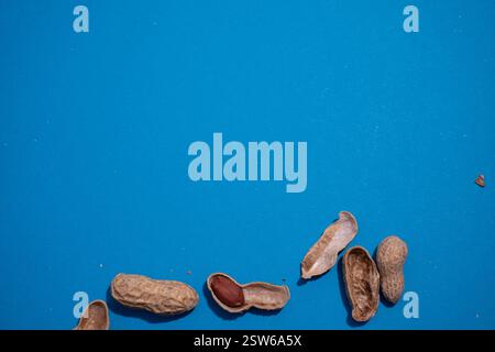 Natural whole peanuts in a shell on a blue background.Peel the peanut from the shell.Top view.Copy space for text. Stock Photo