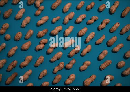 Top view of fresh peanuts in shells forming seamless pattern on blue background. Stock Photo
