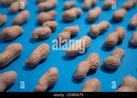 Top view of fresh peanuts in shells forming seamless pattern on blue background. Stock Photo