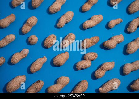 Top view of fresh peanuts in shells forming seamless pattern on blue background. Stock Photo