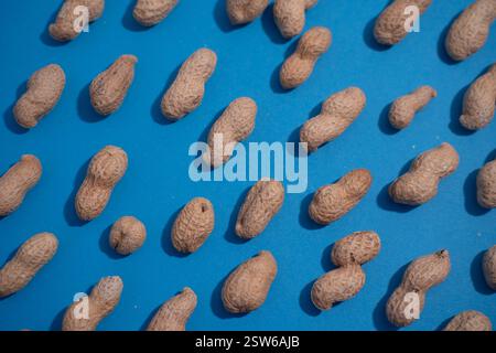 Top view of fresh peanuts in shells forming seamless pattern on blue background. Stock Photo