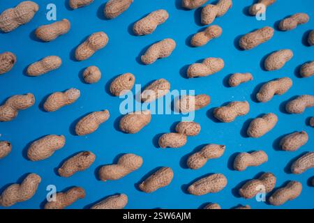 Top view of fresh peanuts in shells forming seamless pattern on blue background. Stock Photo