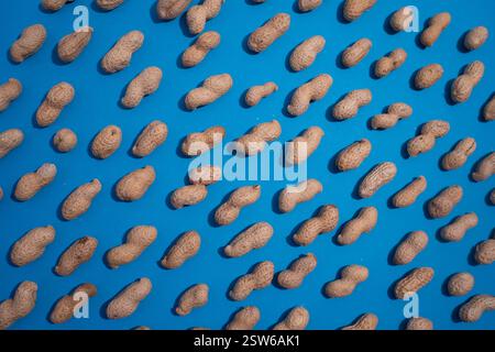Top view of fresh peanuts in shells forming seamless pattern on blue background. Stock Photo