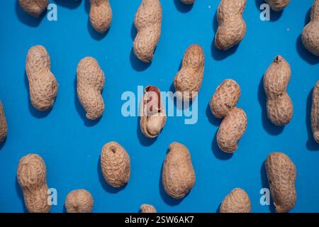 Top view of fresh peanuts in shells forming seamless pattern on blue background. Stock Photo