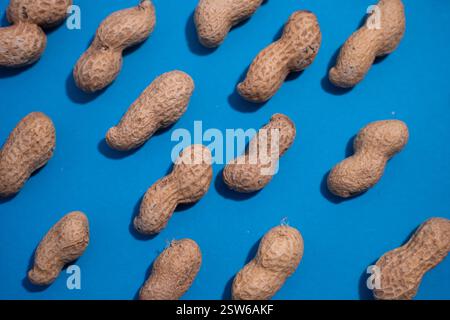 Top view of fresh peanuts in shells forming seamless pattern on blue background. Stock Photo