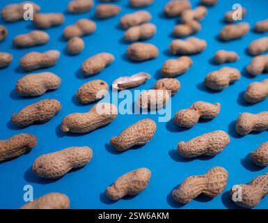 Top view of fresh peanuts in shells forming seamless pattern on blue background. Stock Photo