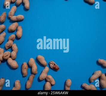 Scattered peanuts on a blue background with broken shells and nuts exposed.Copy space for text. Stock Photo
