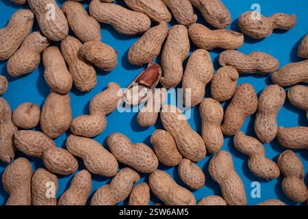 top view of raw peanuts in shell on blue background. Stock Photo