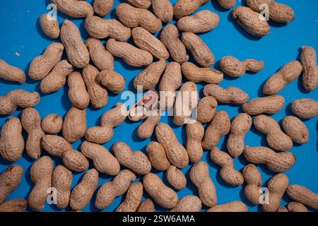 top view of raw peanuts in shell on blue background. Stock Photo
