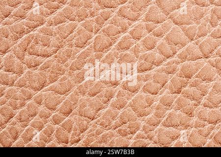 Close-up of textured beige leather surface with natural grain pattern perfect for background, upholstery, material design, craftsmanship concept Stock Photo