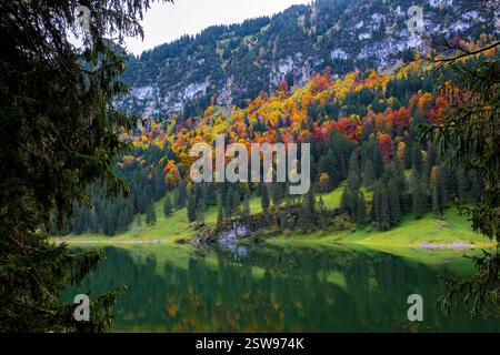 Discover the stunning fall colors of Falensee in Appenzell, Switzerland, reflecting on serene waters Stock Photo