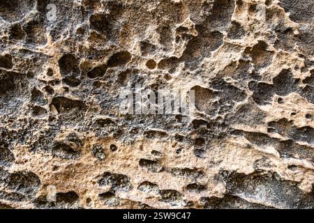 Textures in sandstone for backgrounds from Capitol Reef National Park. Stock Photo