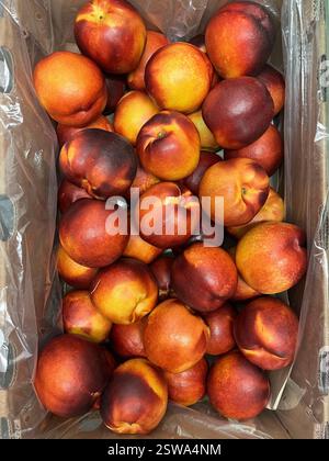 nectarines, fruits, warehouse, storage, crate, agriculture, food supply, logistics, vegetable storage, distribution, supply chain Stock Photo