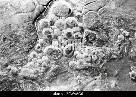 Black and white photo of a frozen lake with a lot of bubbles. The bubbles are scattered all over the lake, creating a sense of movement and life in th Stock Photo
