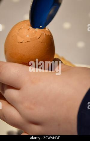 boiled egg and sold soldiers Stock Photo