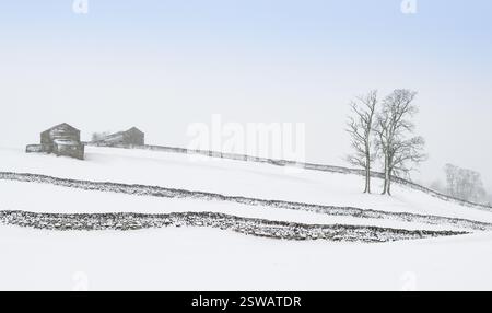 Snow covered landscape in Wensleydale, North Yorkshire, UK. Stock Photo