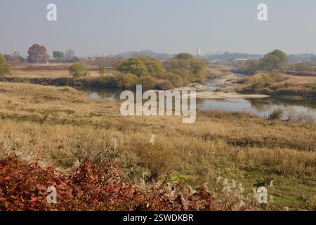 Cheongju City, South Korea - November 11, 2020: Miho Stream flows through golden autumn fields, forming small sandy banks and reflecting the changing Stock Photo