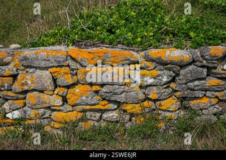 05.09.2024, France, Brittany, Pors Poulhan - Picturesque dry stone wall on the GR36 coastal hiking trail. 00X240905D075CAROEX.JPG [MODEL RELEASE: NO, Stock Photo