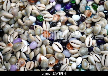 Beautiful summer cowrie shells on white background. Texture Stock Photo ...