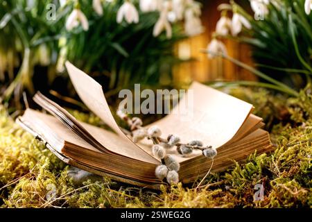 Beautiful first blossom spring flowers snowdrops in forest Stock Photo