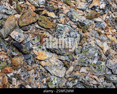Multicolored detailed texture of a rocky mountain slope. Geological scattering of stones in close-up. Nature background of chaot Stock Photo